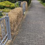 PXL_20240507_062926136
