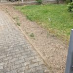 PXL_20240507_083200361